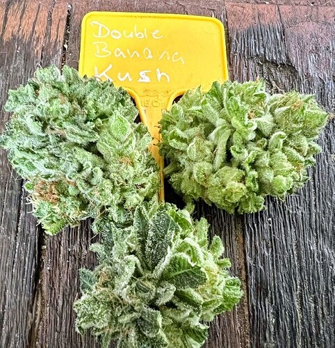 Growreport Bild 11