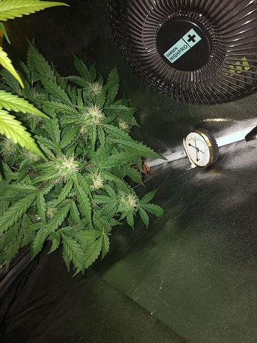Growreport Bild 8