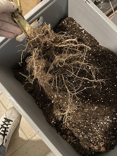 Growreport Bild 21