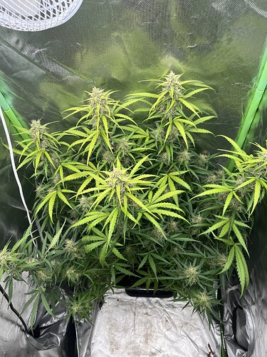 Growreport Bild 5