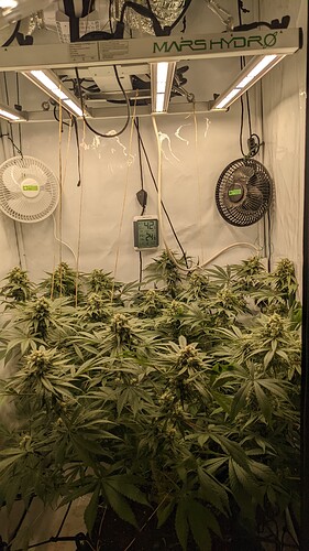 PXL_20220401_042605876