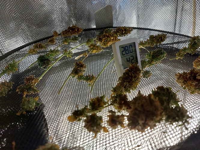 Growreport Bild 2