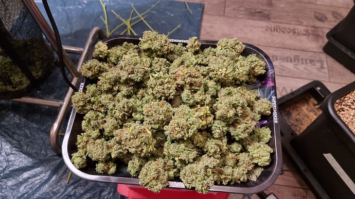 Growreport Bild 20