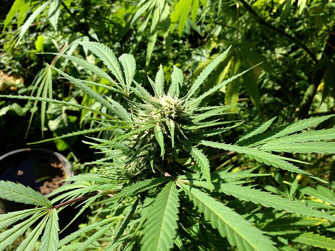 Growreport Bild 18