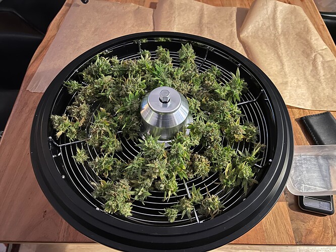 Growreport Bild 10