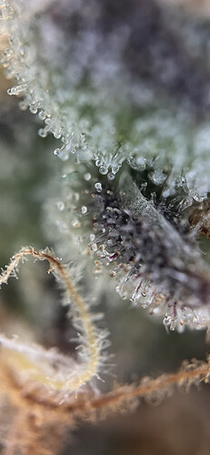 Growreport Bild 6
