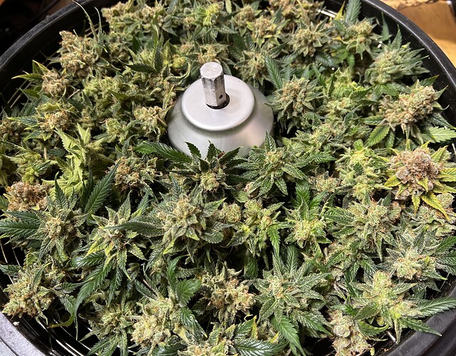 Growreport Bild 20