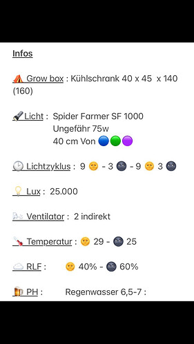 Growreport Bild 1