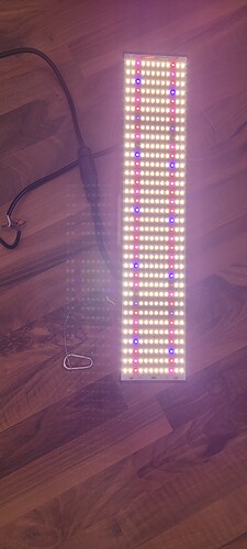 Growreport Bild 8