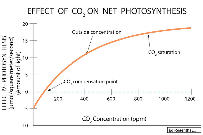 Effect-CO2-on-photosynthesis-in-cannabis-ed-rosenthal