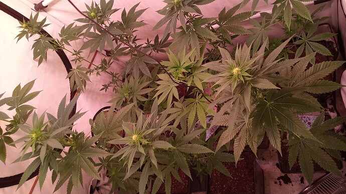 Growreport Bild 9