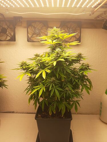 Growreport Bild 12