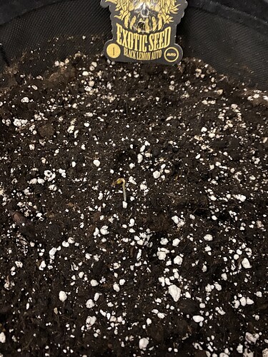 Growreport Bild 6