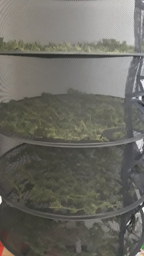 Growreport Bild 8