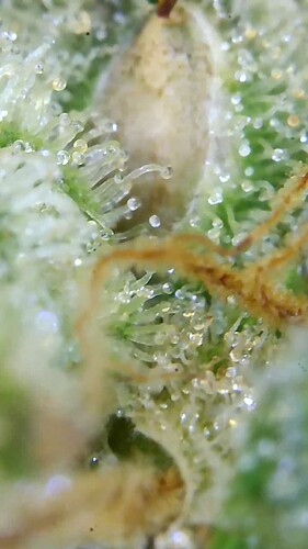 Growreport Bild 16
