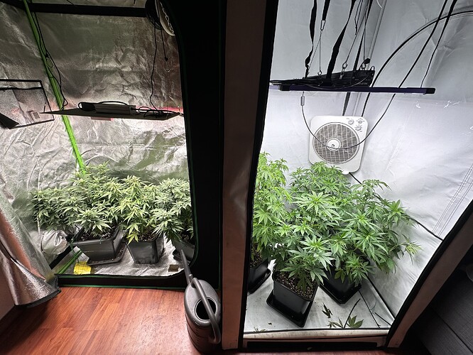 Growreport Bild 11