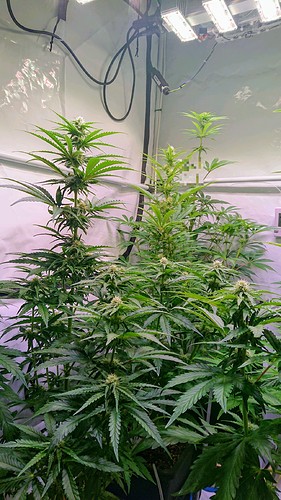 Growreport Bild 11