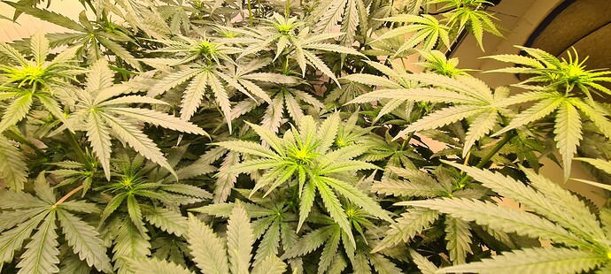 Growreport Bild 4