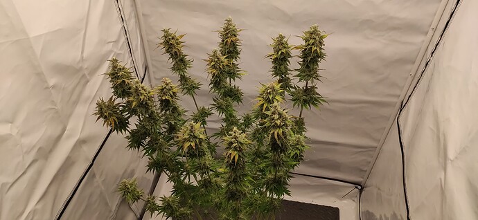 Growreport Bild 15