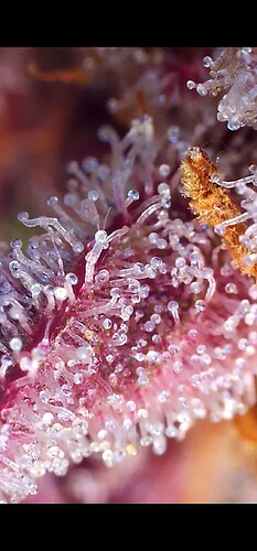 Growreport Bild 12