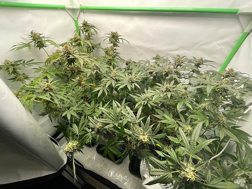 Growreport Bild 17