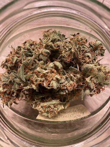 Growreport Bild 6