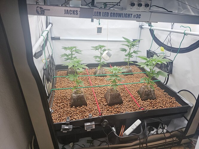 Growreport Bild 18