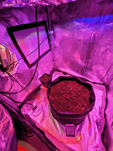 Growreport Bild 4