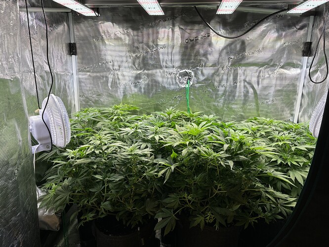 Growreport Bild 6