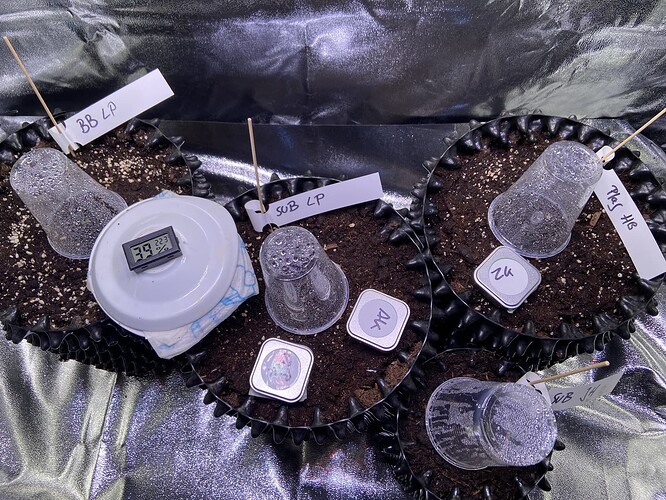 Growreport Bild 16