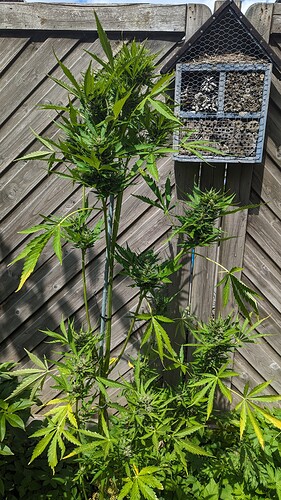 PXL_20230710_113021192