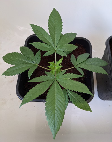 PXL_20210722_133351445 - Kopie