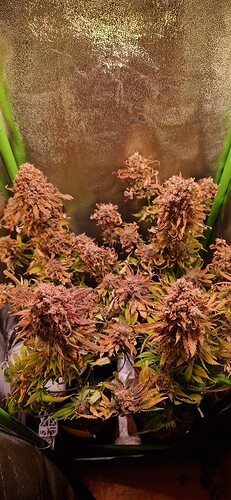 Growreport Bild 11