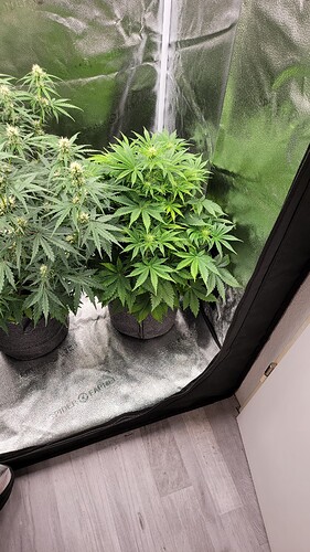 Growreport Bild 7