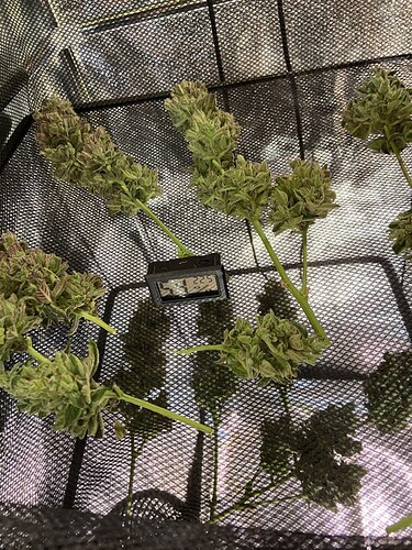 Growreport Bild 11