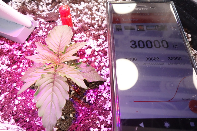 Growreport Bild 22