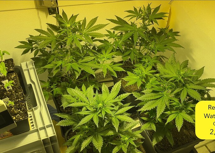 Growreport Bild 2