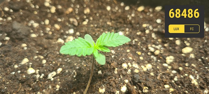 Growreport Bild 9