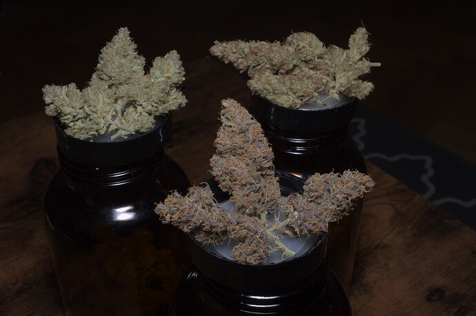 Growreport Bild 4
