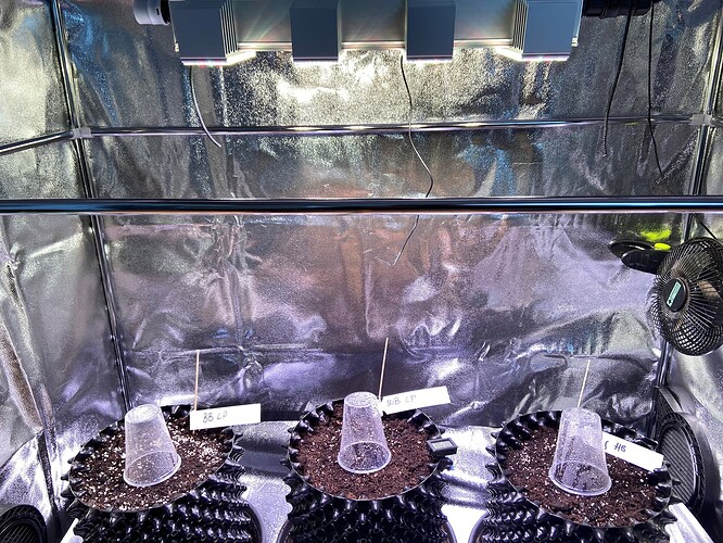 Growreport Bild 97