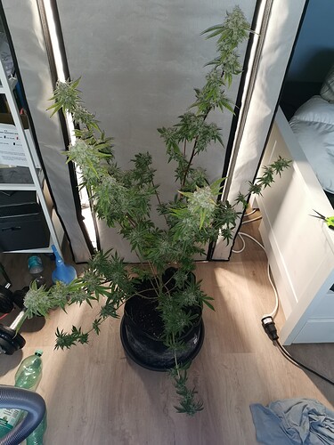 Growreport Bild 6