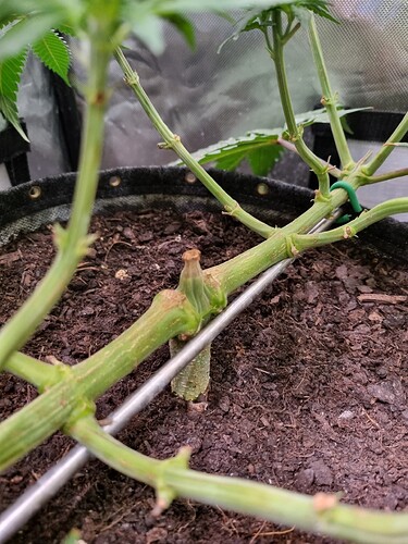 Growreport Bild 22