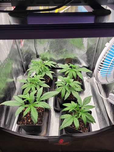 Growreport Bild 24