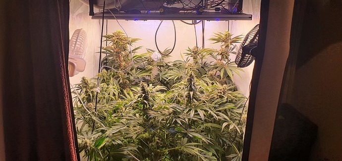 Growreport Bild 1