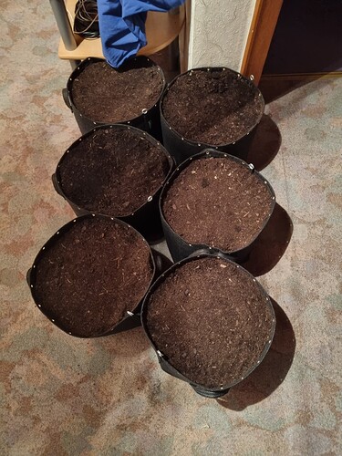 Growreport Bild 2