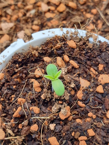 Growreport Bild 13
