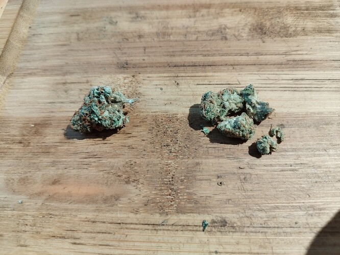 Growreport Bild 8
