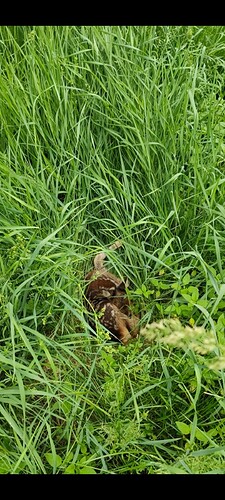 Screenshot_2022-10-28-16-54-41-443_com.google.android.apps.photos