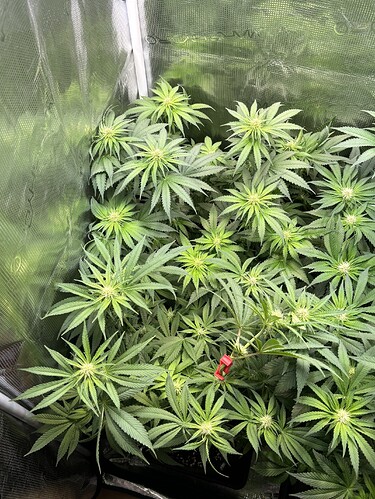 Growreport Bild 8