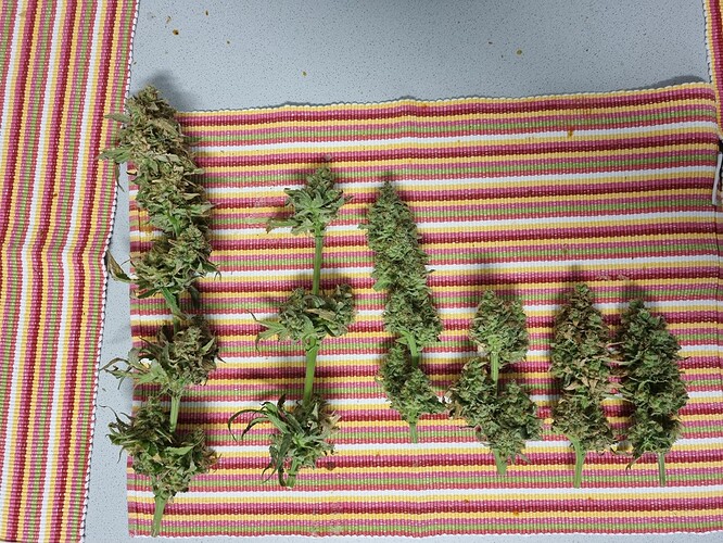Growreport Bild 27